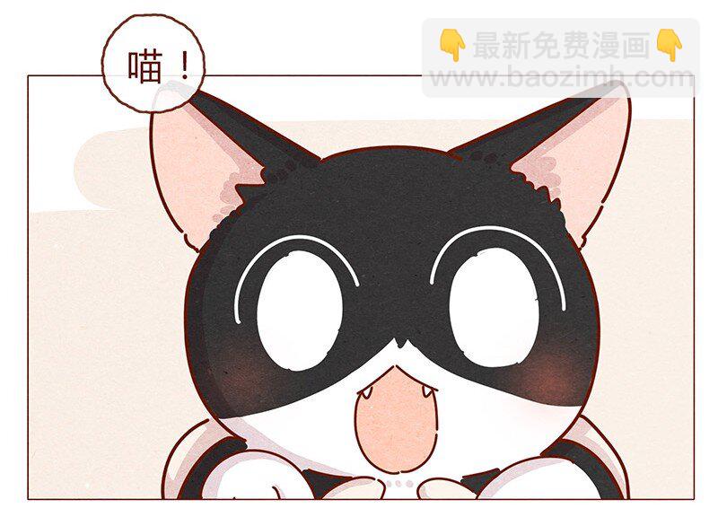 203话 遇到命中注定的猫猫-第204话