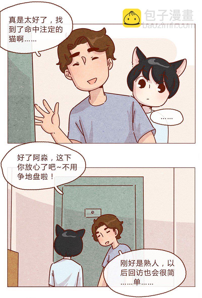 203话 遇到命中注定的猫猫-第204话