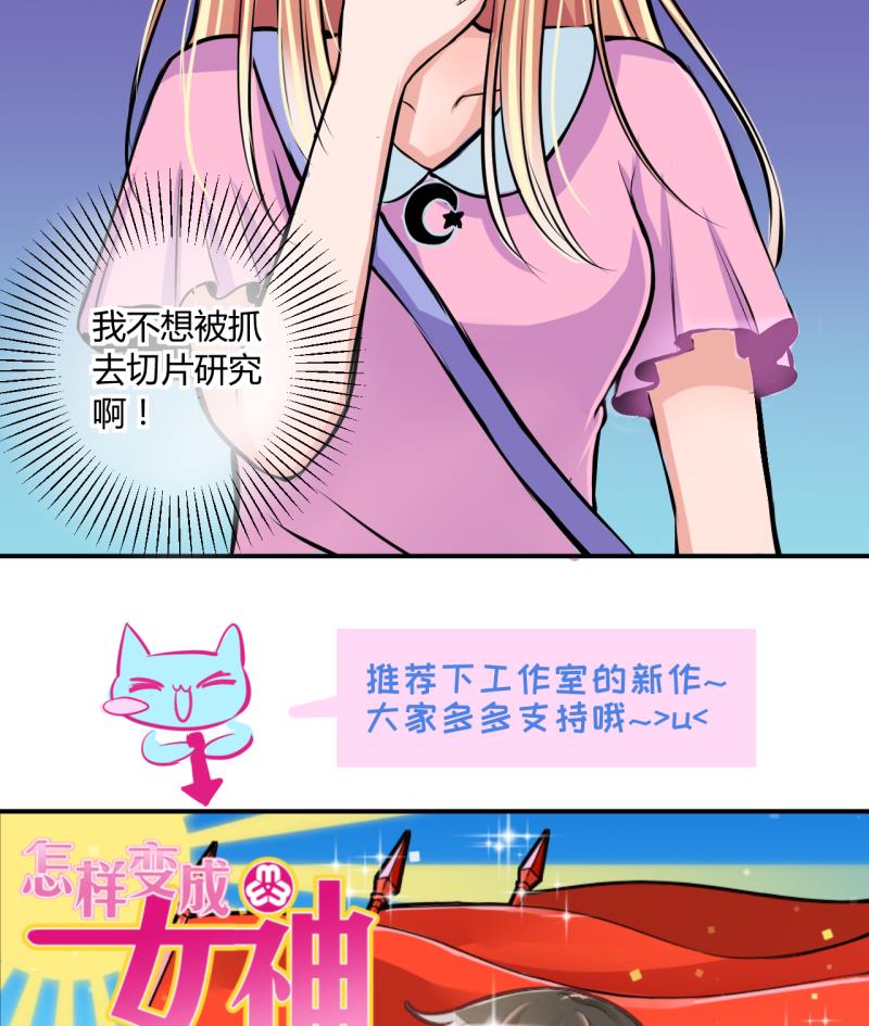 第30话 神奇的交易物品 2-第30话