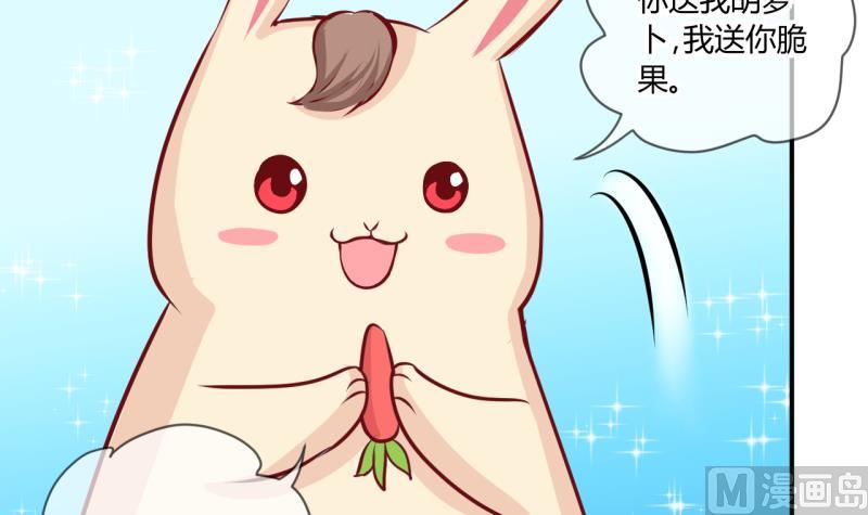 第56话 兔子先生的交易物品 2-第56话