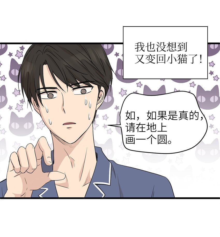 02 我能摸一摸你吗？(1/2)-第2话