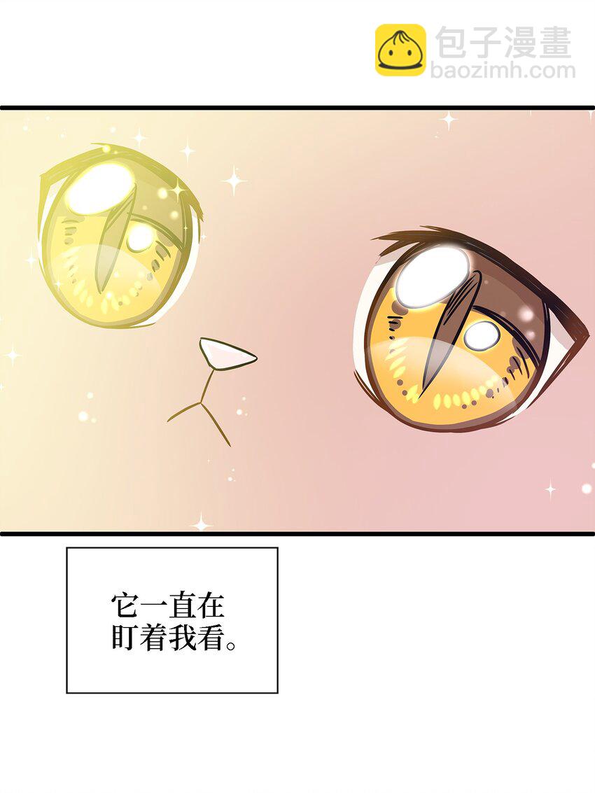 02 我能摸一摸你吗？(1/2)-第2话