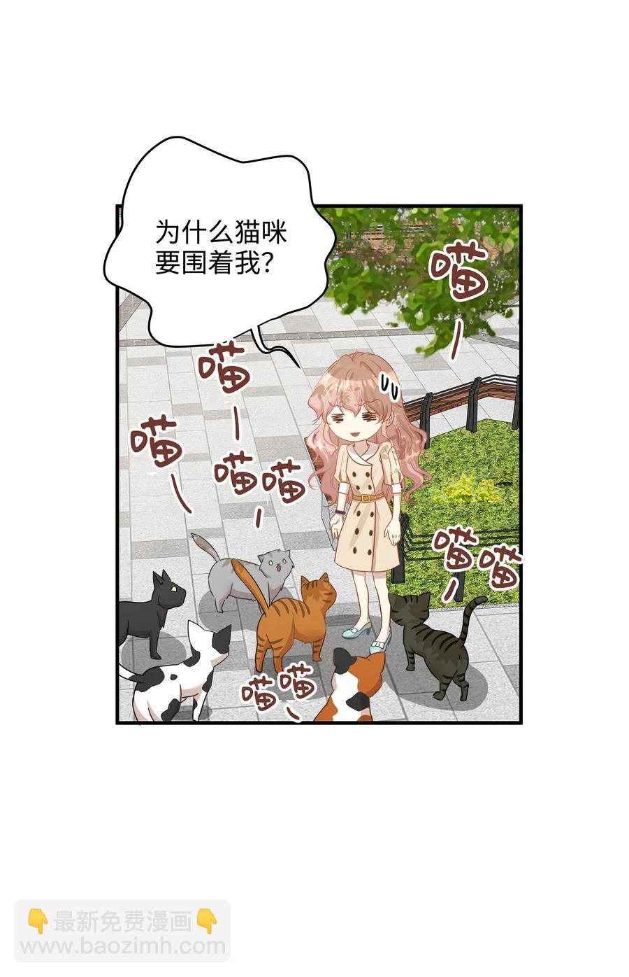 20 与权主任的不期而遇(1/2)-第20话
