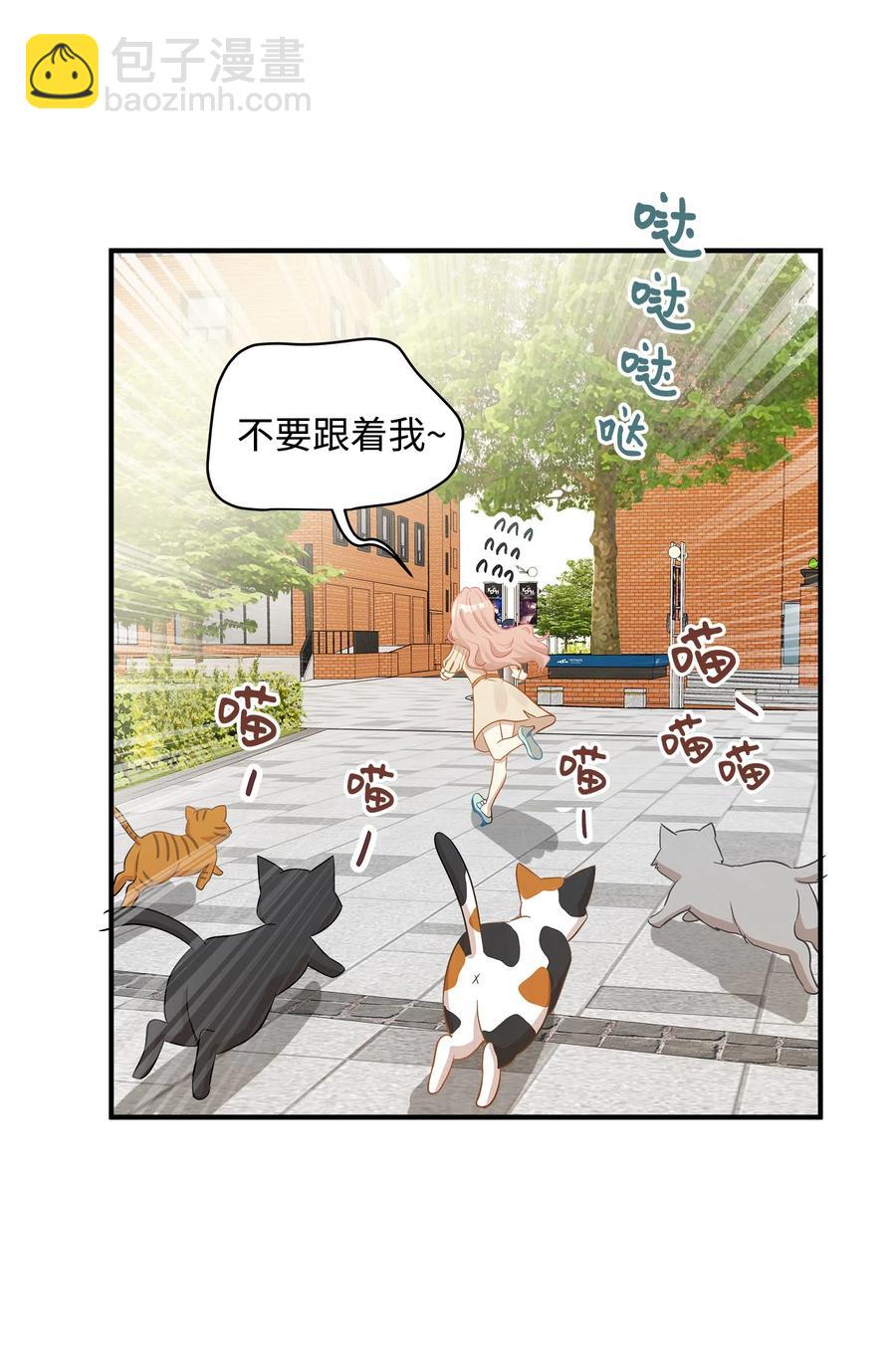 20 与权主任的不期而遇(1/2)-第20话