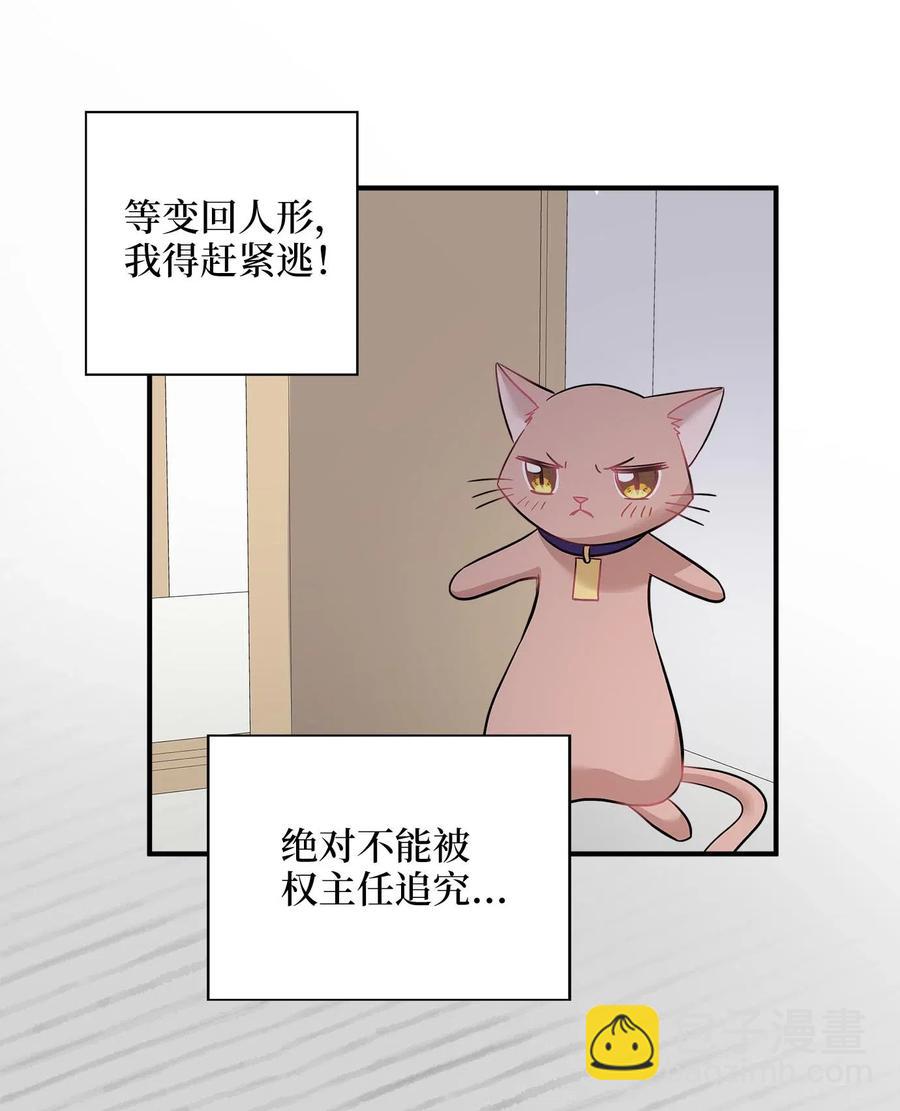 22 真相大白(1/2)-第22话