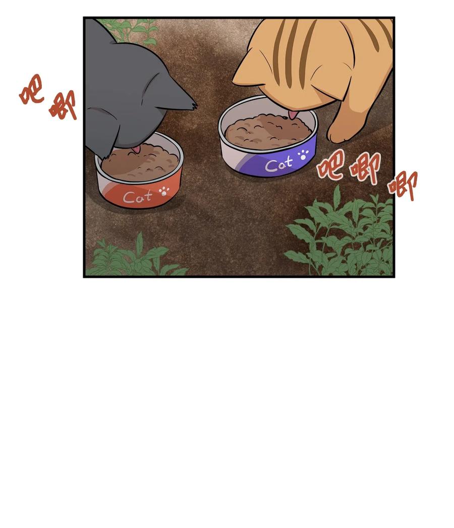 44 隋仙华(1/2)-第44话