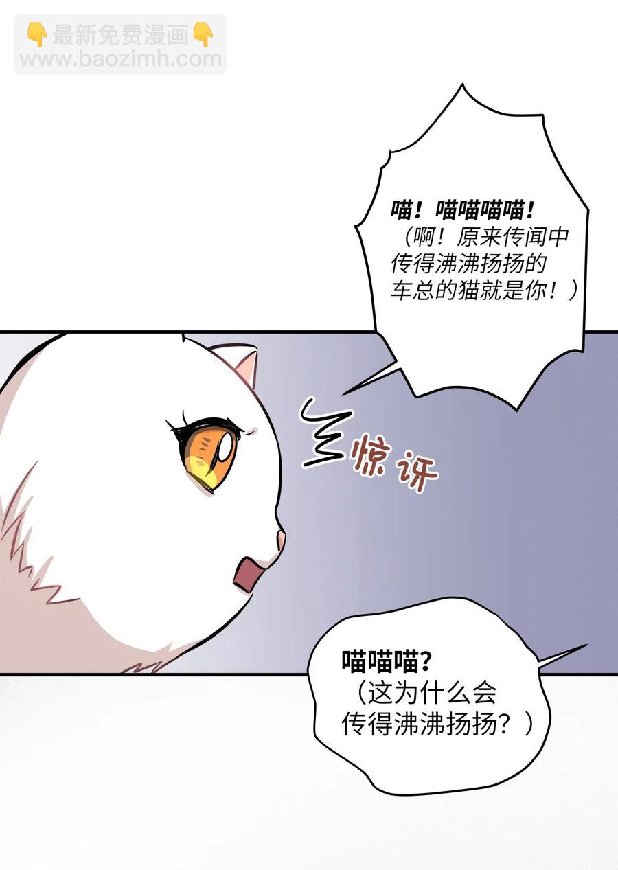 44 隋仙华(1/2)-第44话
