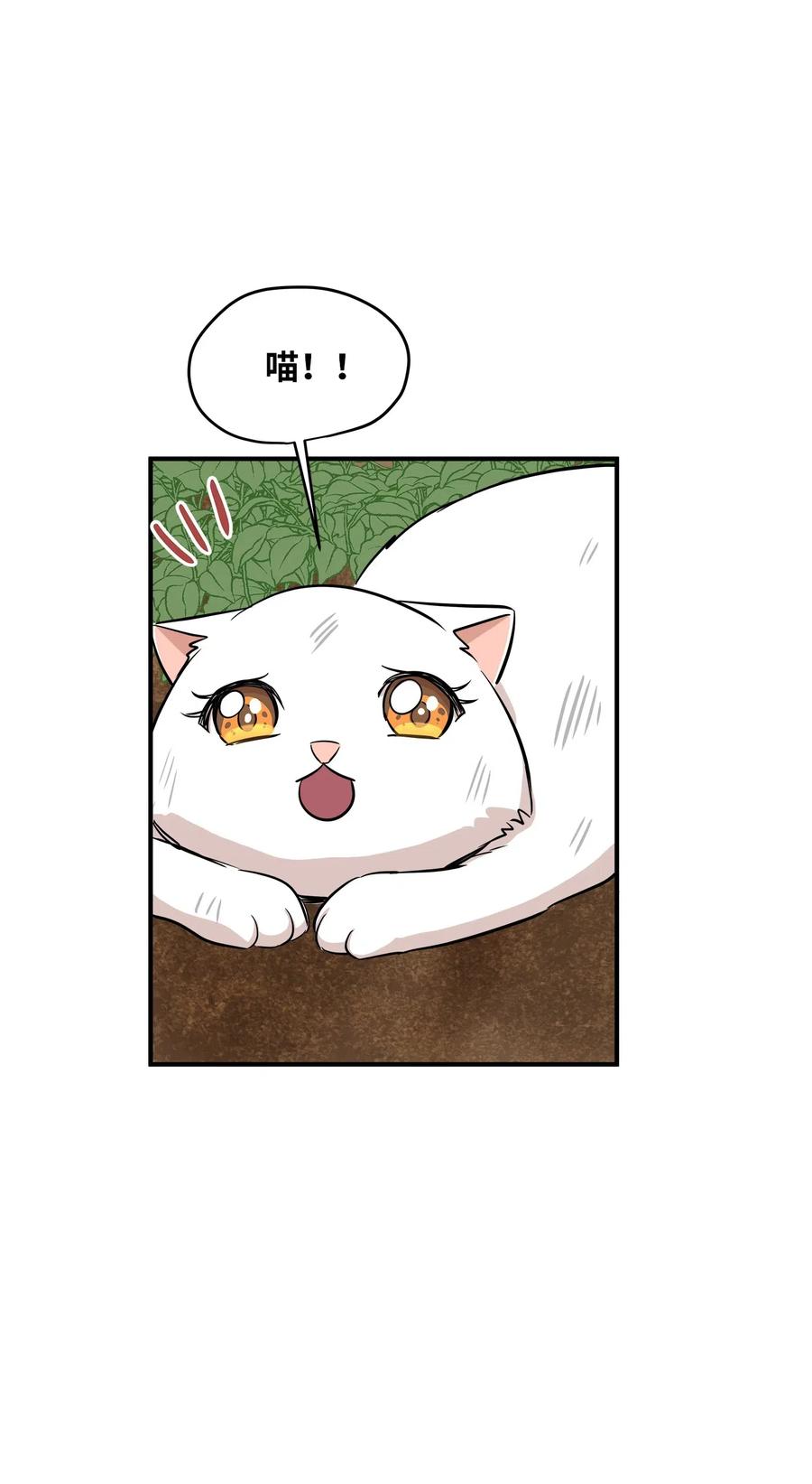 44 隋仙华(1/2)-第44话