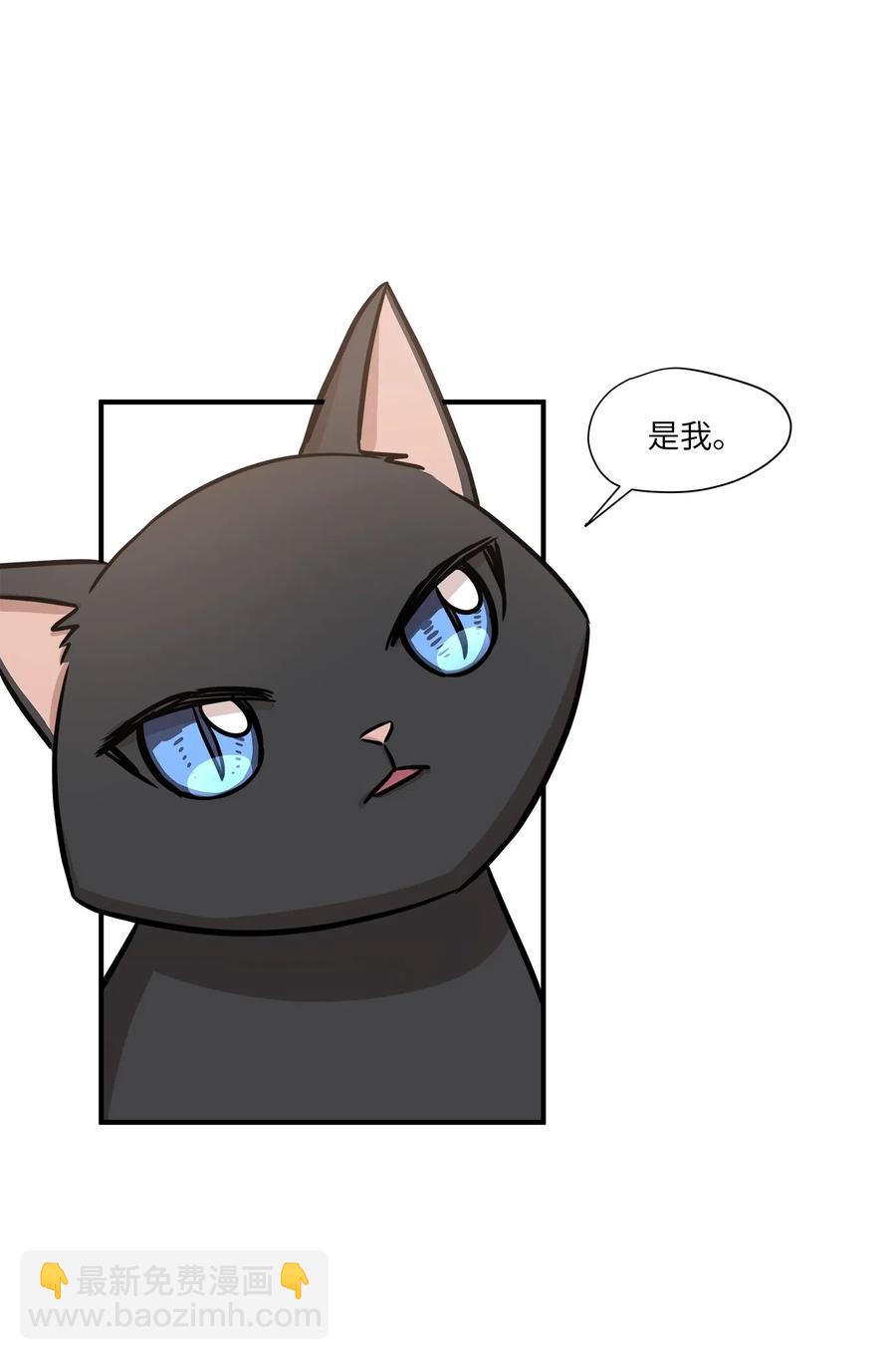 52 黑猫使者(1/2)-第52话