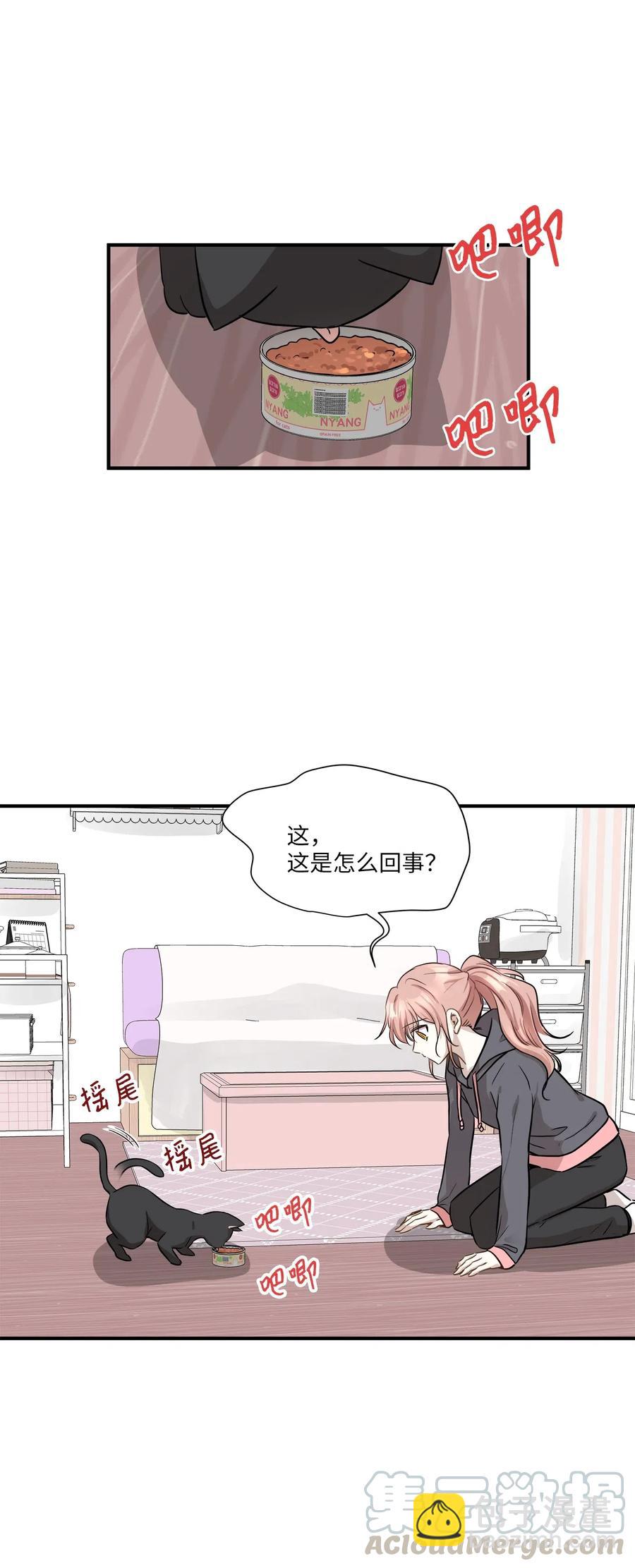 52 黑猫使者(1/2)-第52话