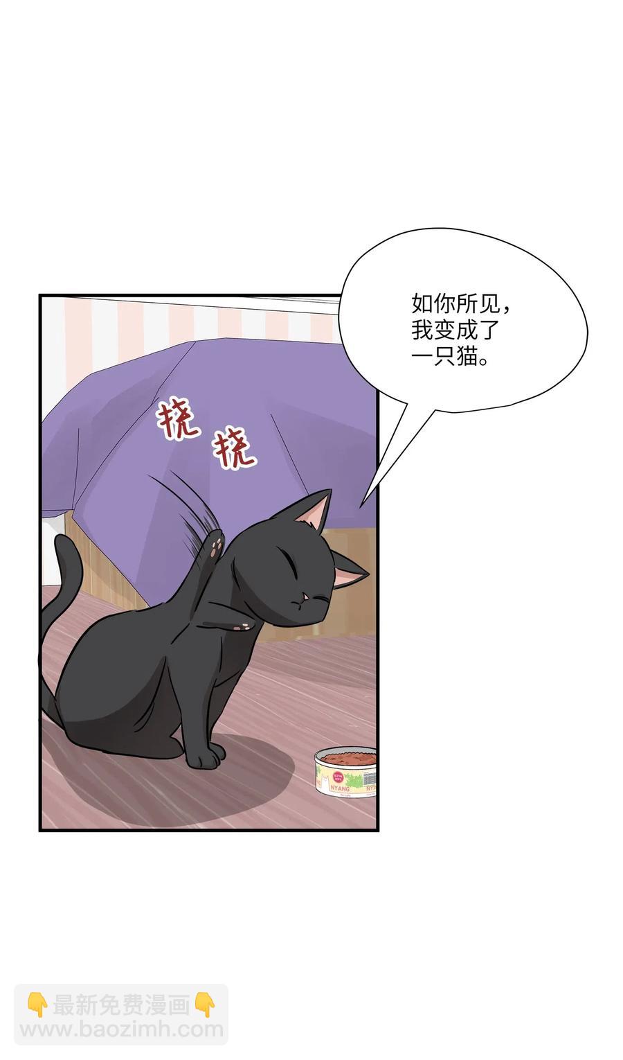 52 黑猫使者(1/2)-第52话