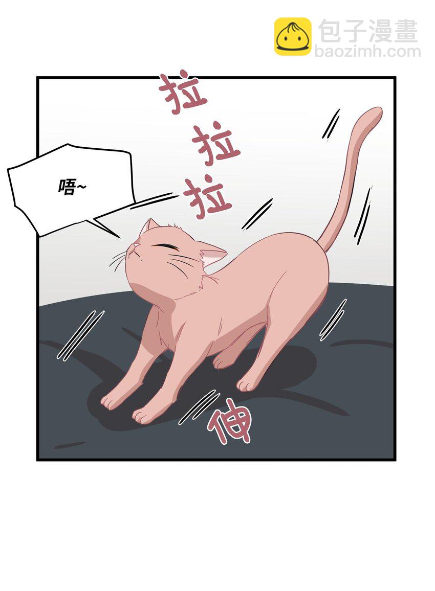 08 这只猫自带闹钟功能(1/2)-第8话