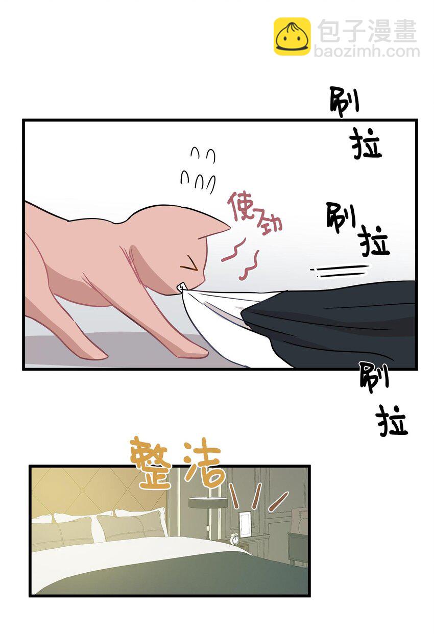 08 这只猫自带闹钟功能(1/2)-第8话