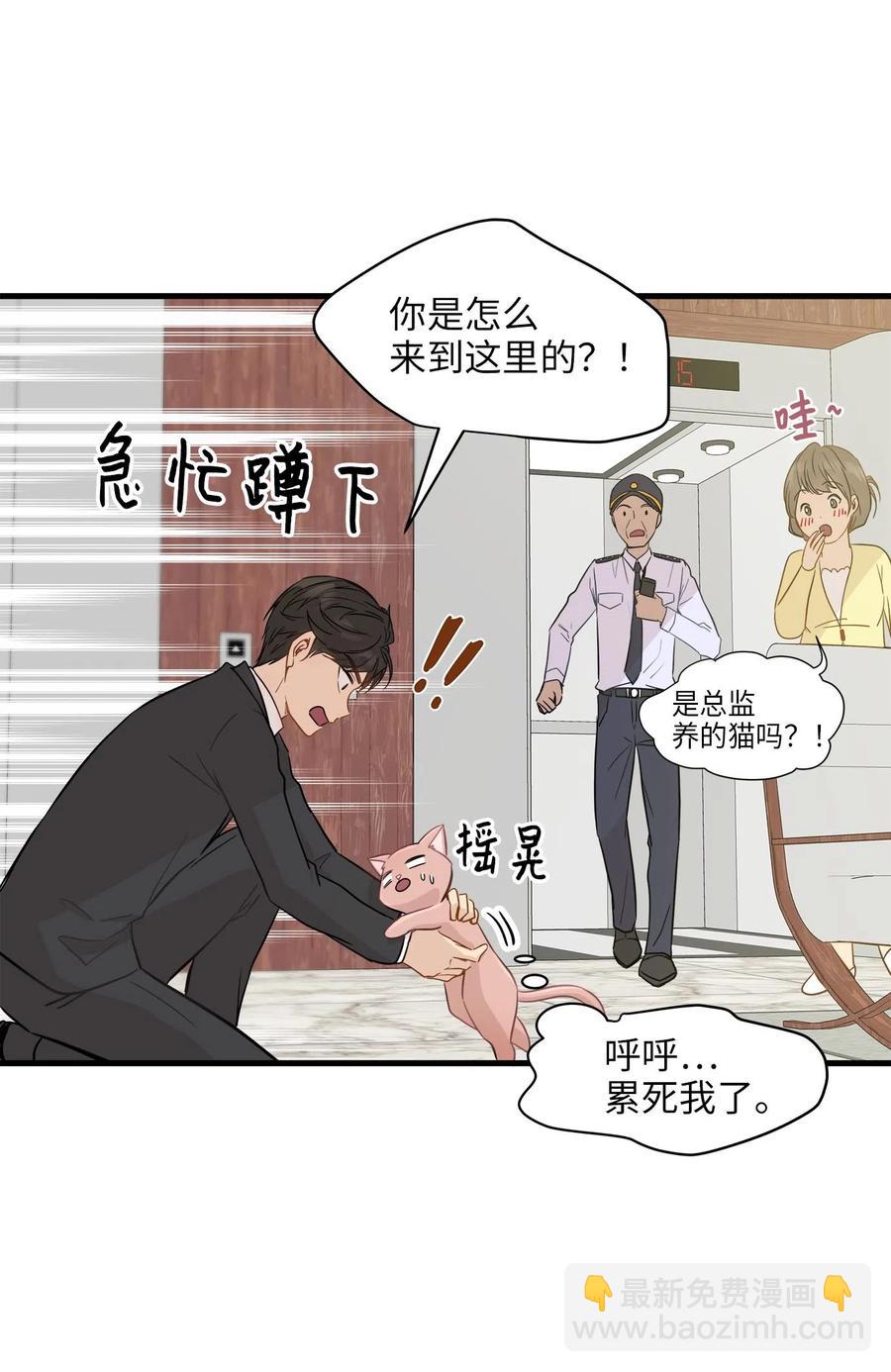 10 喵喵快递(1/2)-第10话
