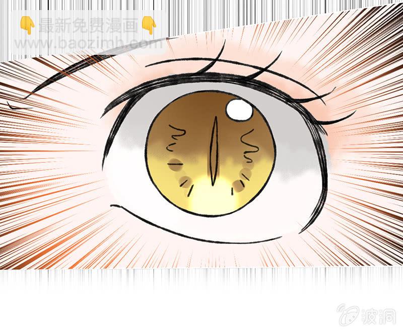 第五十六话-第56话