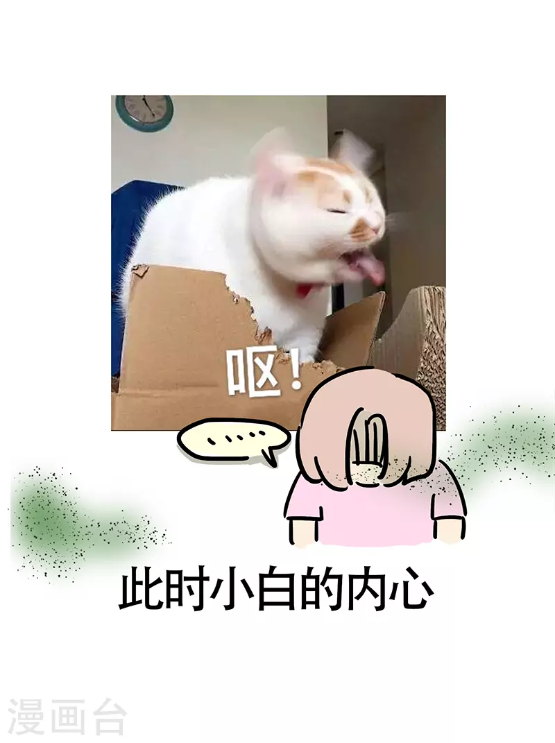 第24话 郊区健身房3-第26话