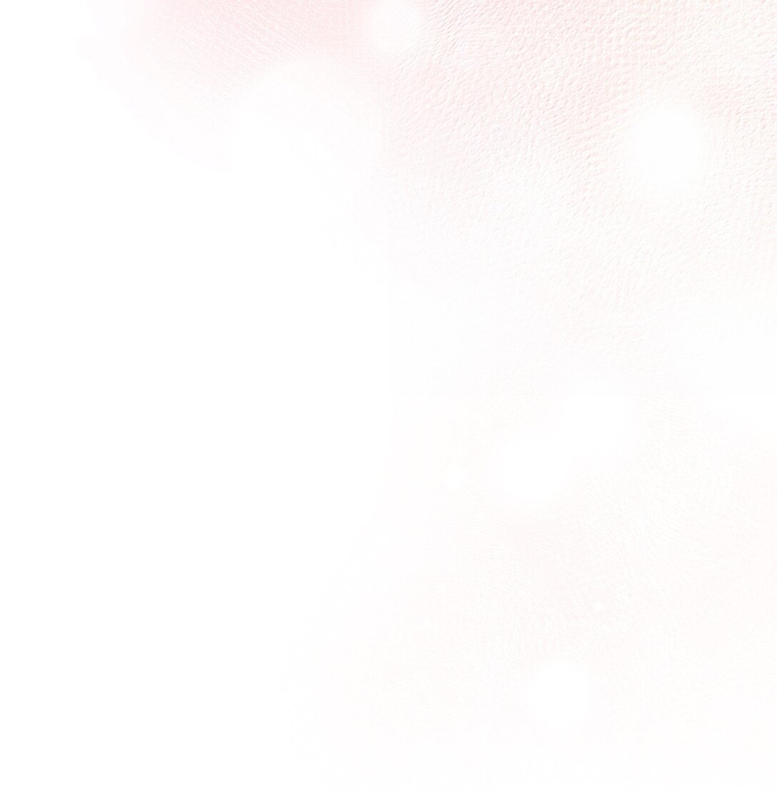 52 虎族的人找过来了(1/2)-第52话