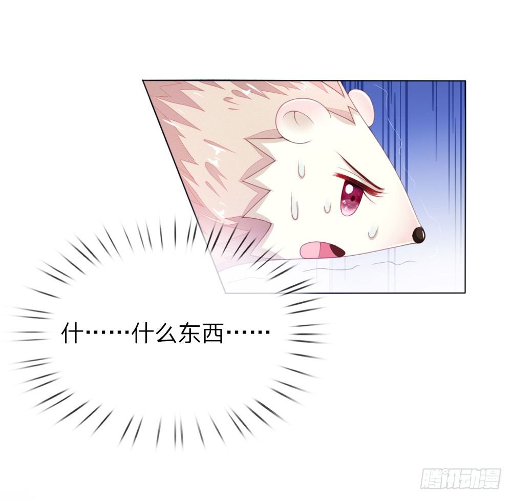 第6话 饿狗来袭-第6话