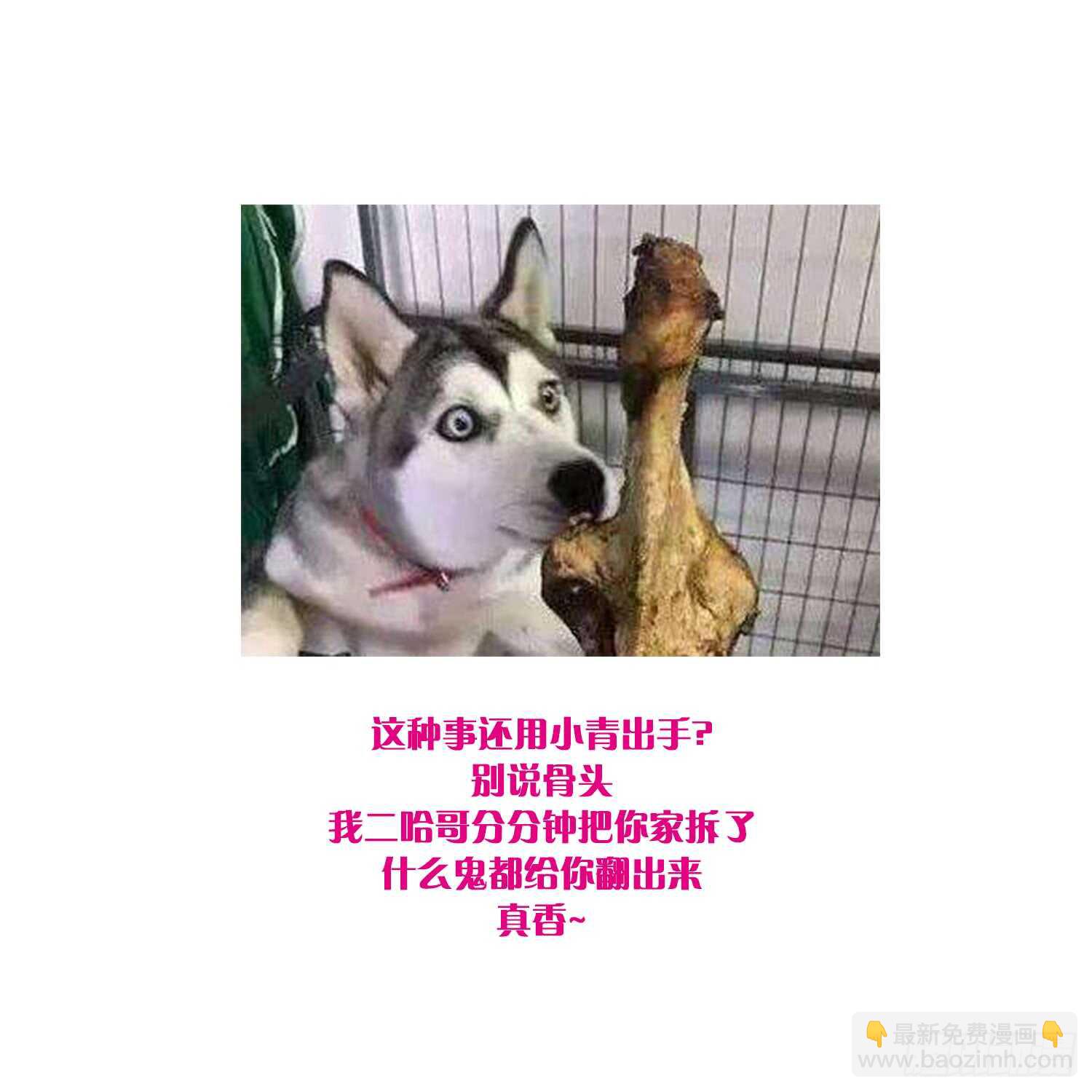 第144话 花盆里的头骨-第144话