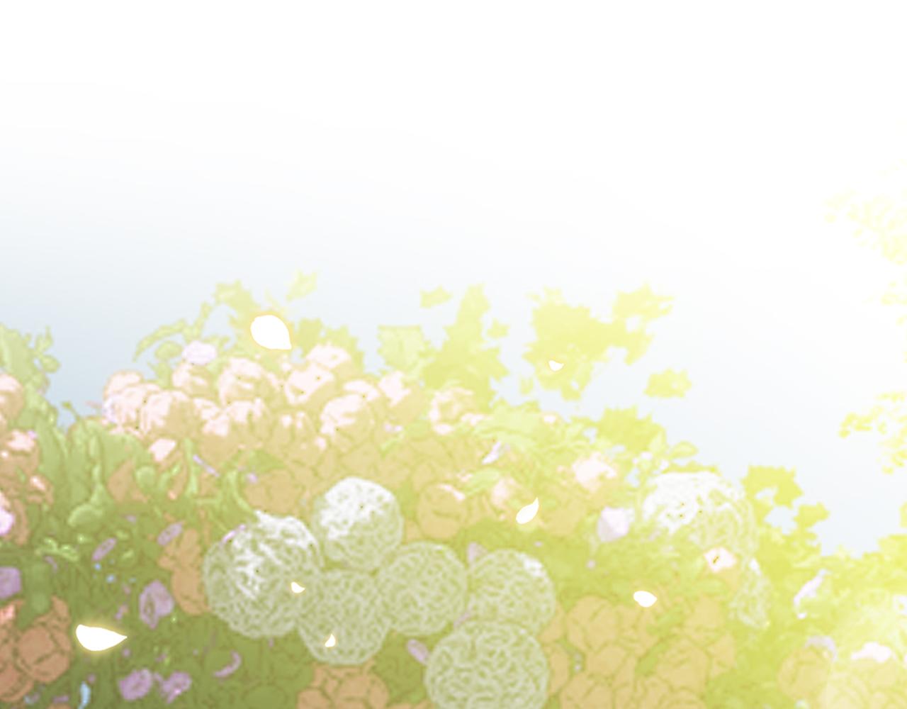 第55话 受祝福的婚姻(1/5)-第56话
