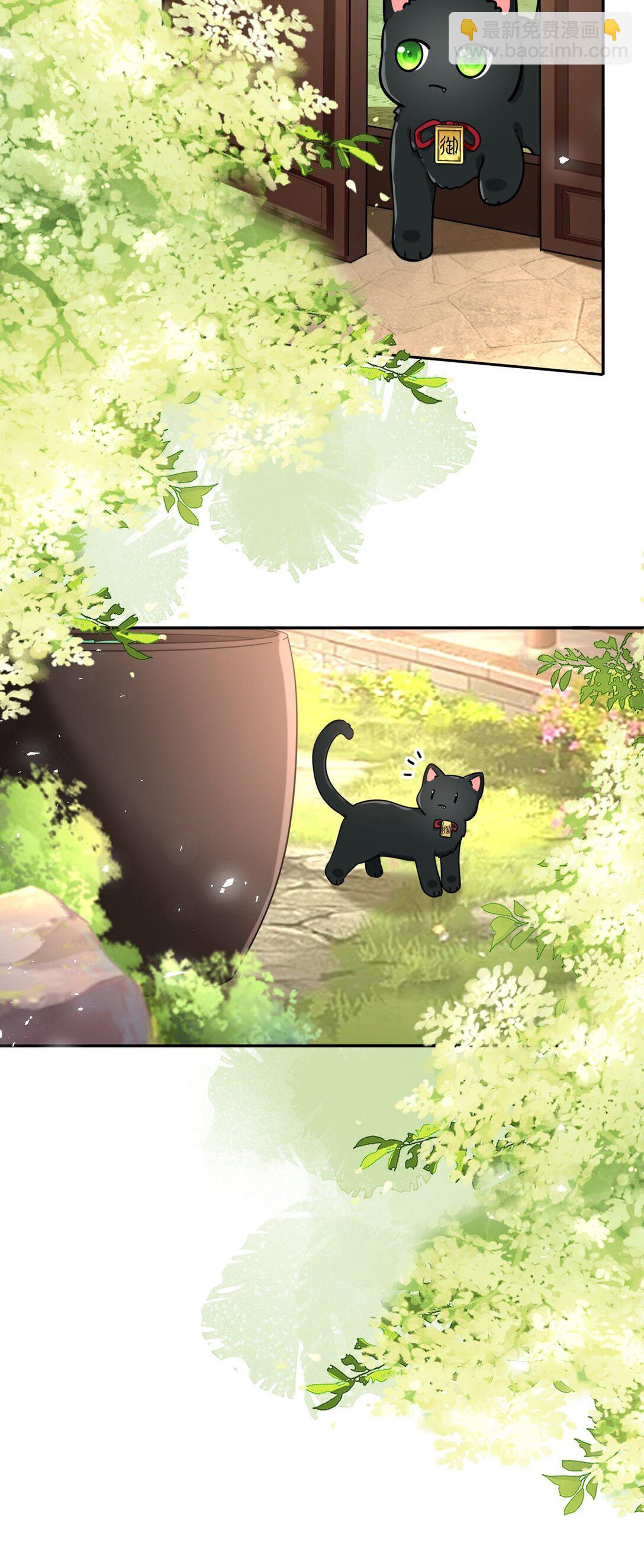 104 帝后登基(1/2)-第108话