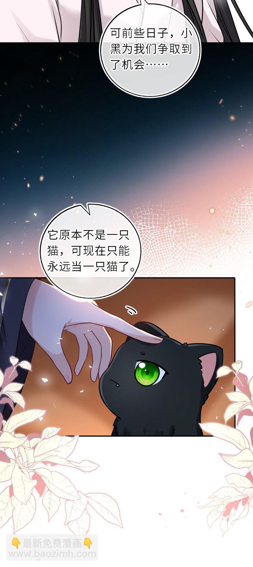 088 凤姐姐是猫妖吗(1/2)-第90话