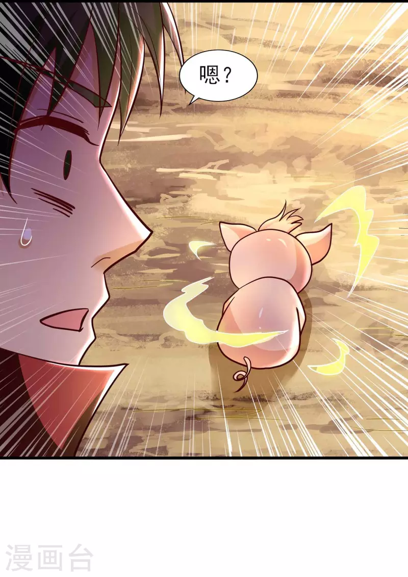 第24话 飞来&ldquo;猪祸&rdquo;-第24话