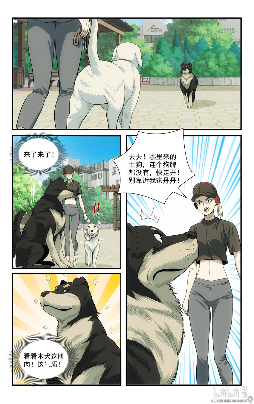 🍘我被系统托管了 69 两条狗 第11页