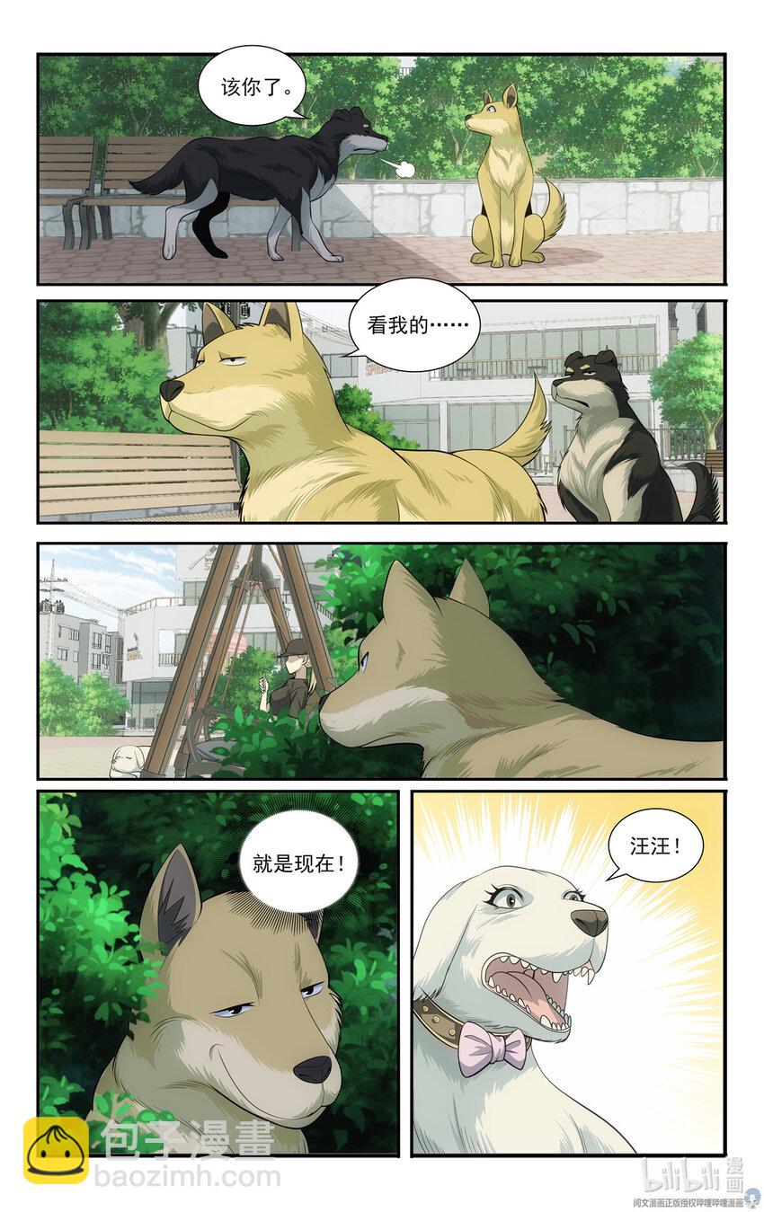 🍘我被系统托管了 69 两条狗 第12页