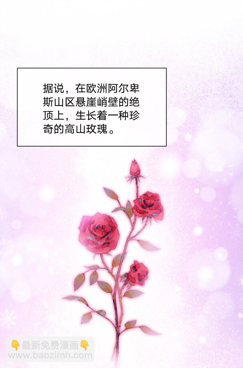 024 纸玫瑰-第24话