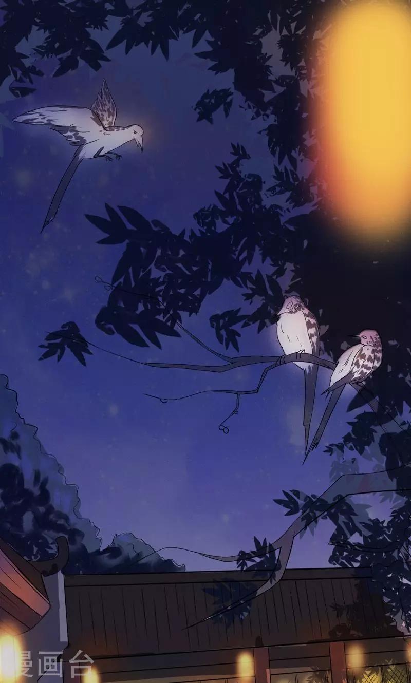 第4话 秦淮选美4-第4话