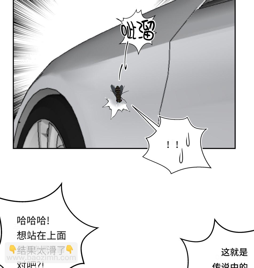第36话 我喜欢安静的地方(1/2)-第36话