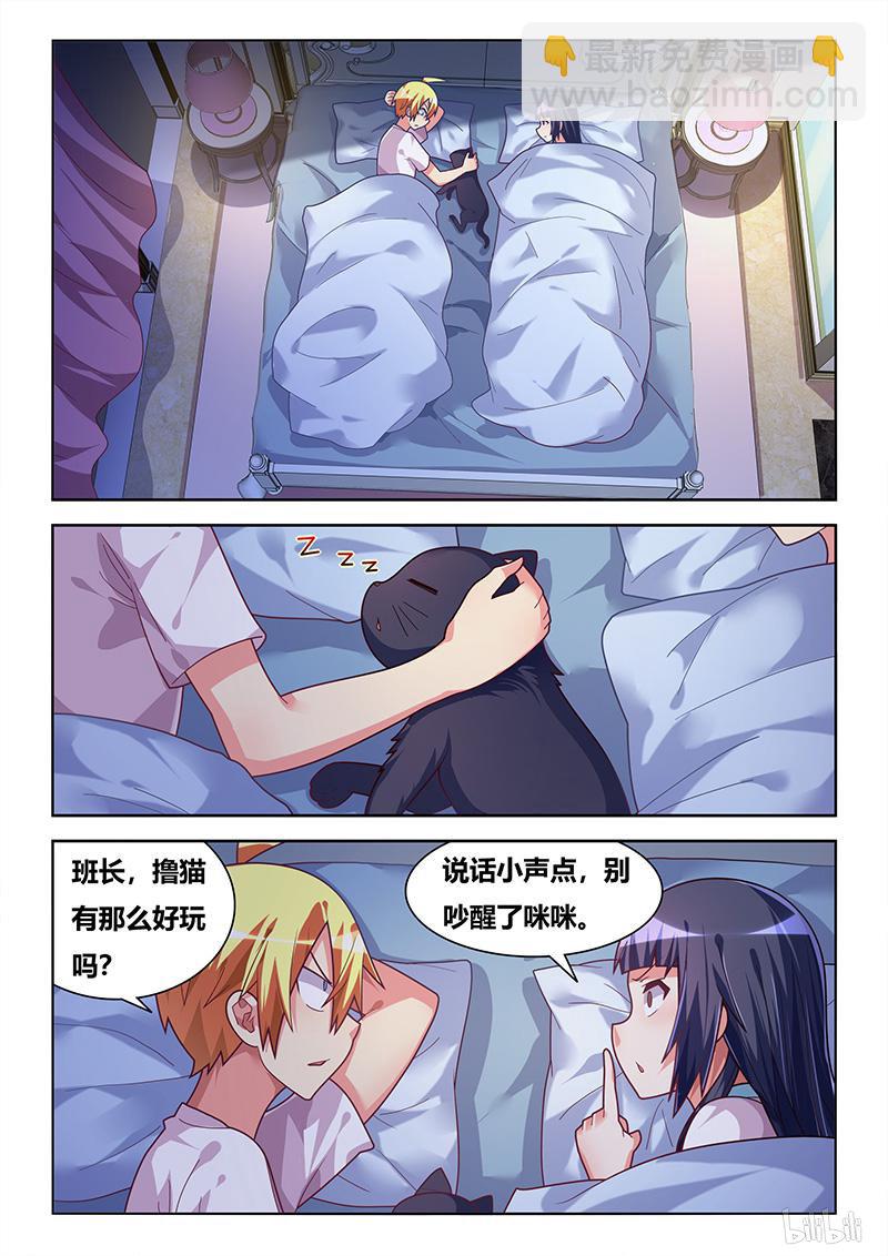 427 以猫为界-第370话