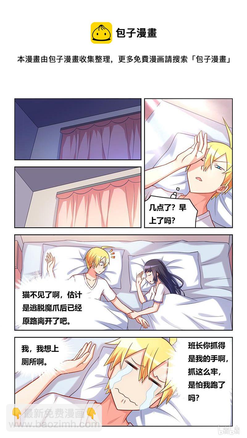 427 以猫为界-第370话
