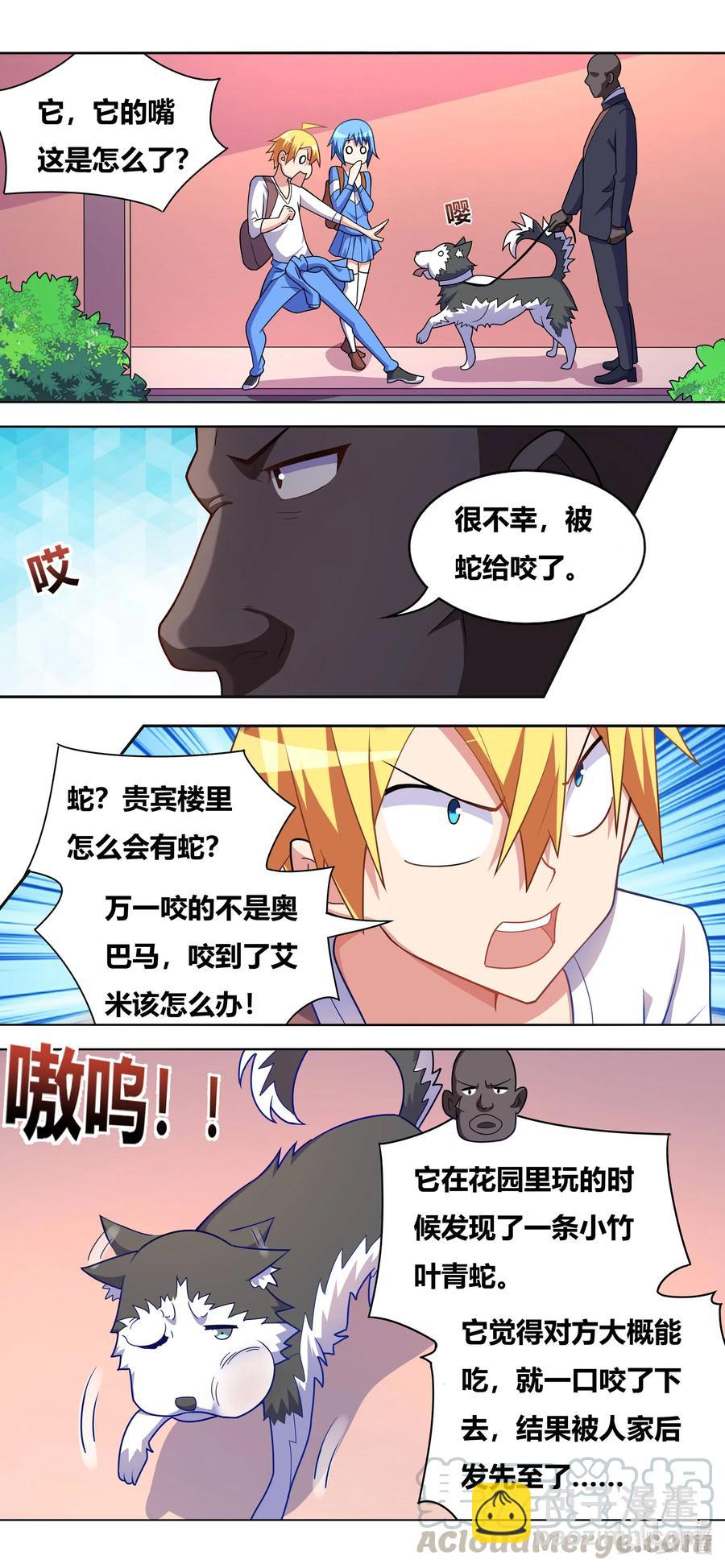 651 安排妥当-第594话
