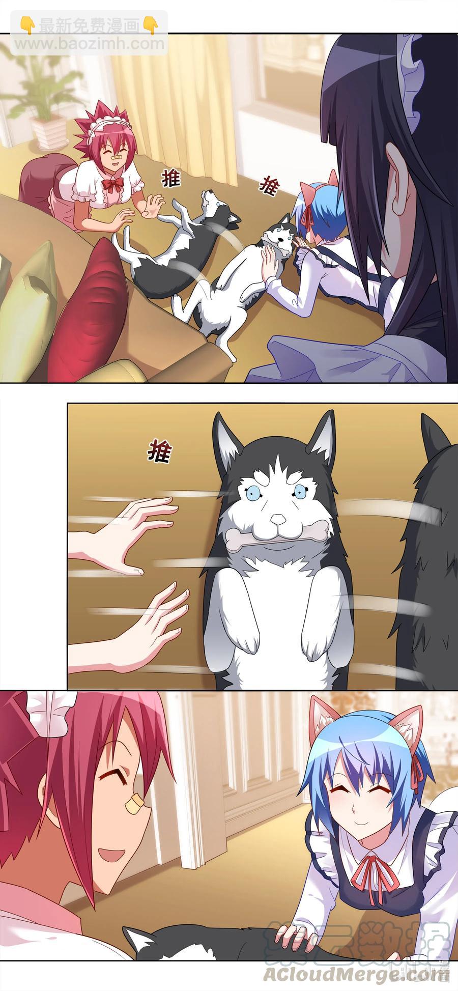 665 猫狗乐园-第608话