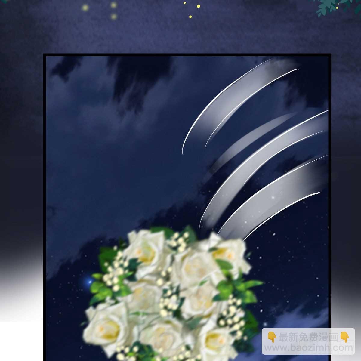 梦中的婚礼（下）(1/2)-第308话