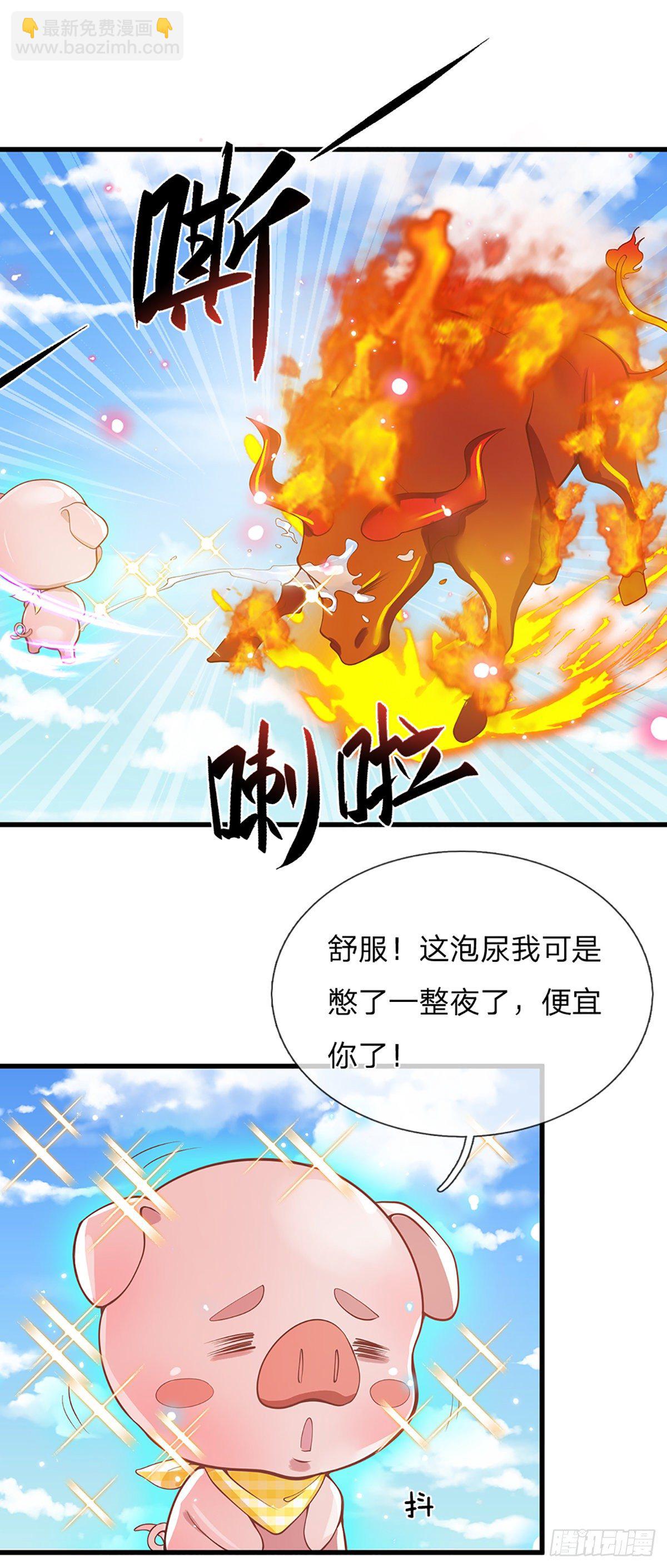3话 这特码是什么流氓猪-第4话