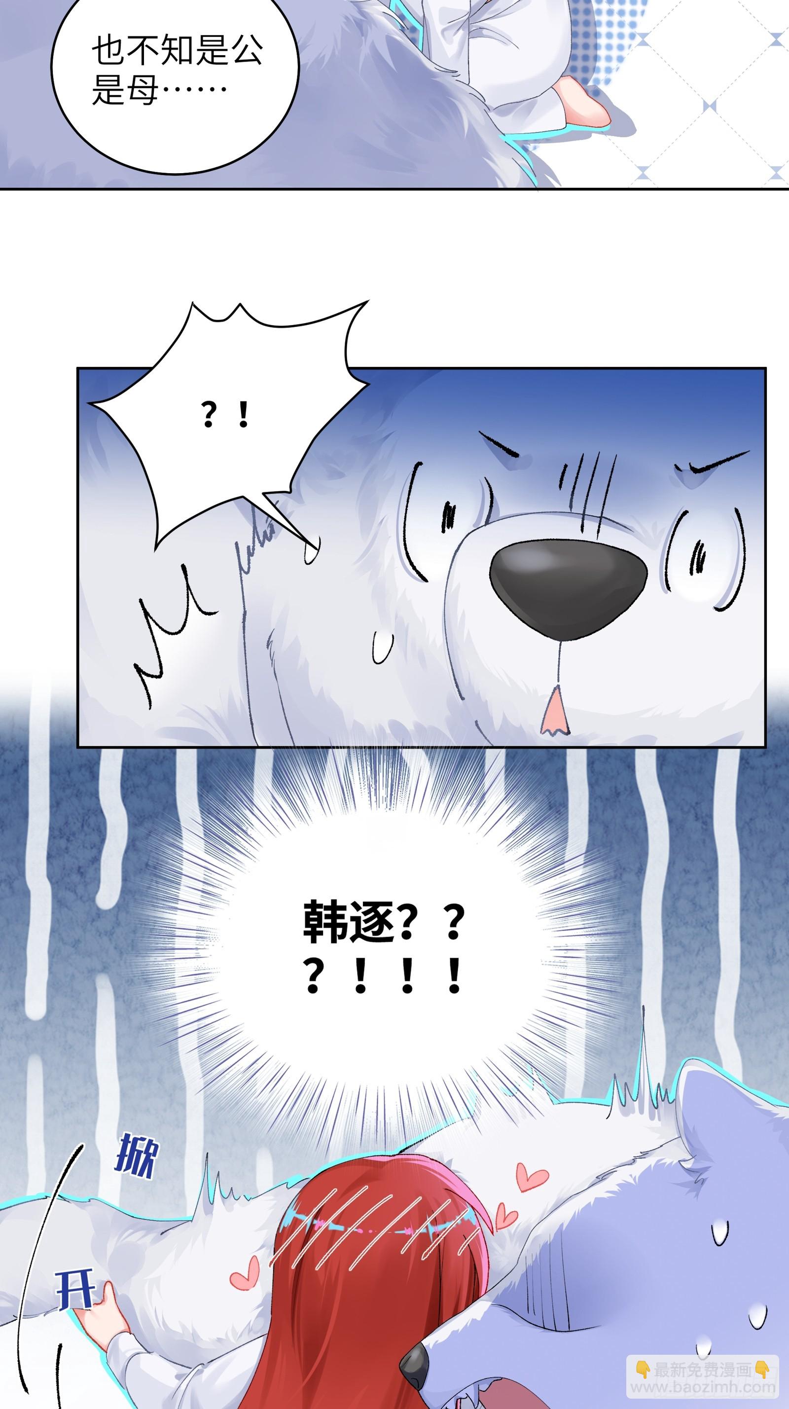 第16话 熊的OO好圆！-第18话