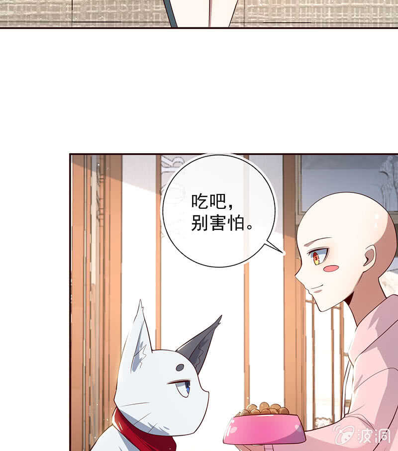 🍘我的充电女友 杏子和小猫咪 第41页