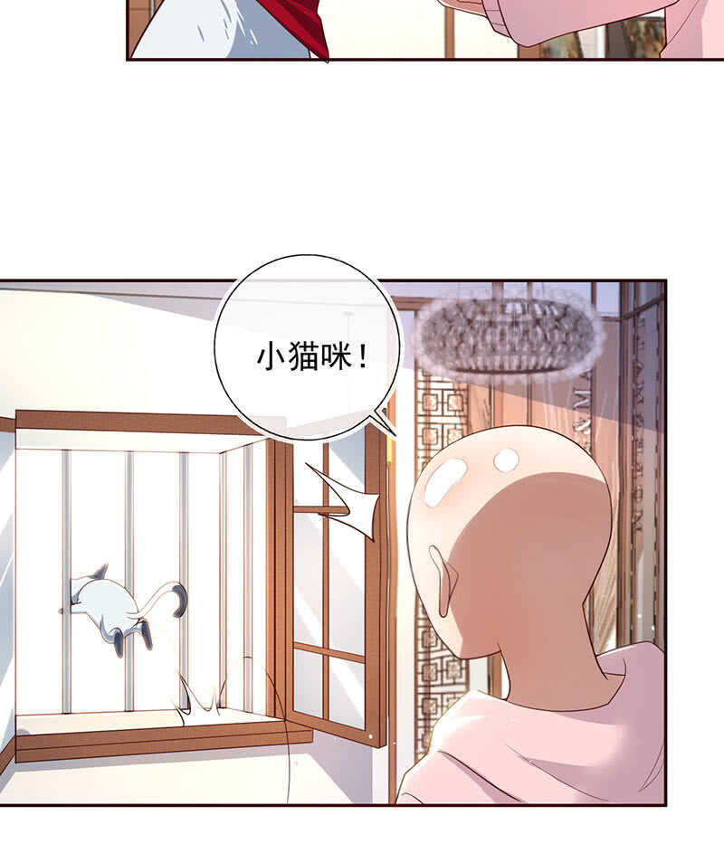 🍘我的充电女友 杏子和小猫咪 第42页