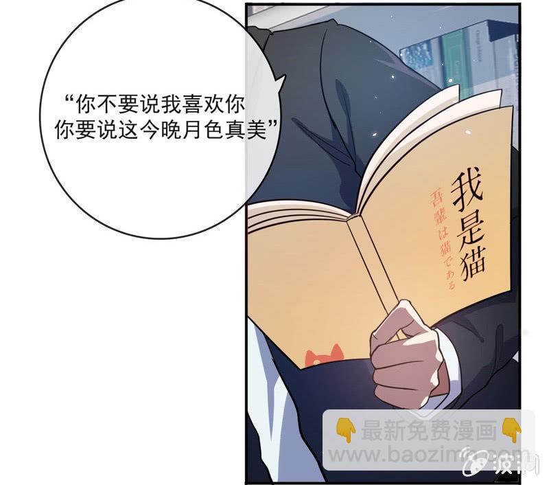 🍘我的充电女友 我是猫 第33页