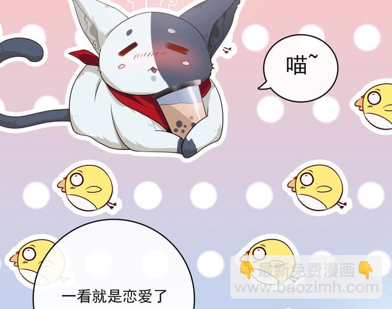 🍘我的充电女友 我是猫 第8页
