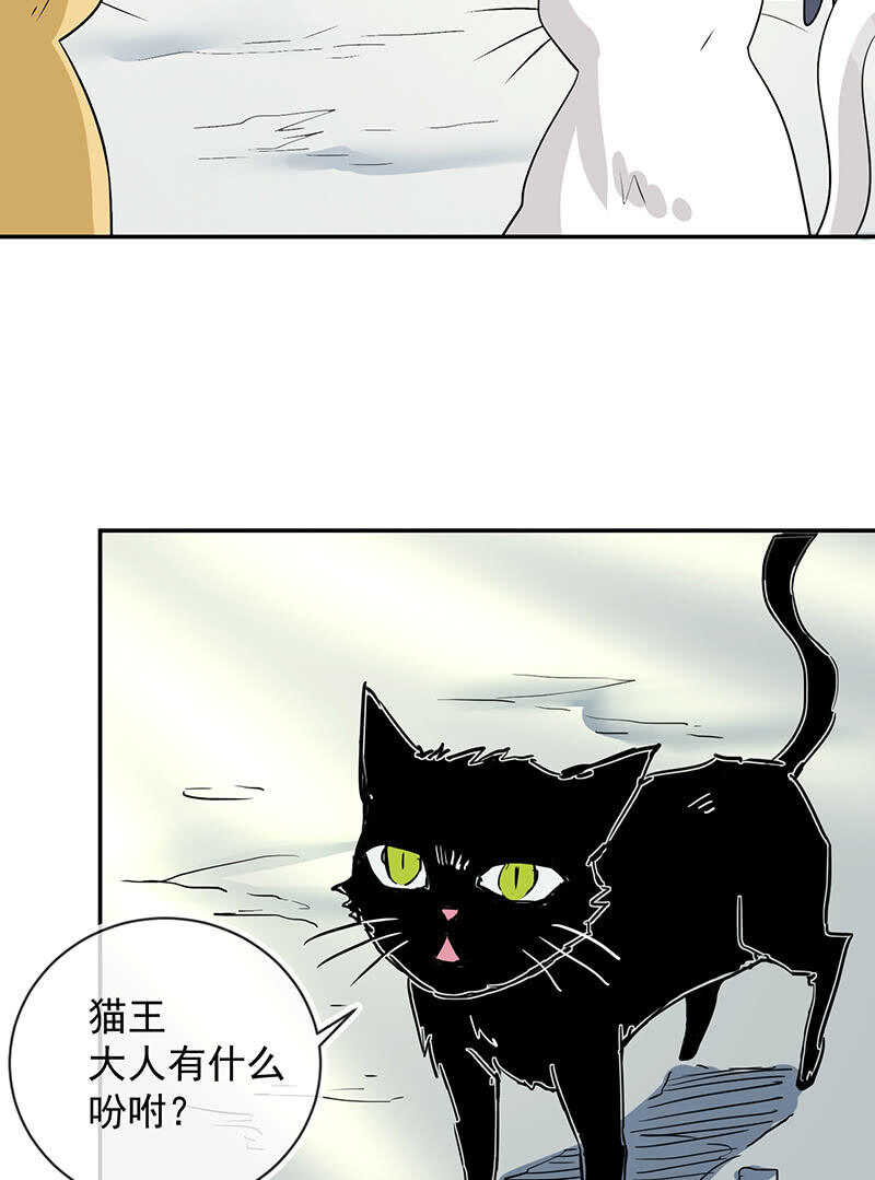 🍘我的充电女友 猫猫特工队 第16页