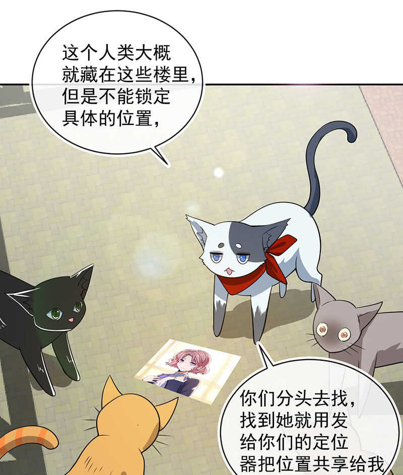 🍘我的充电女友 猫猫特工队 第24页