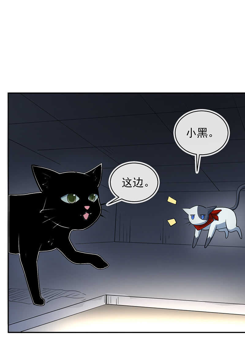 🍘我的充电女友 猫猫特工队 第32页