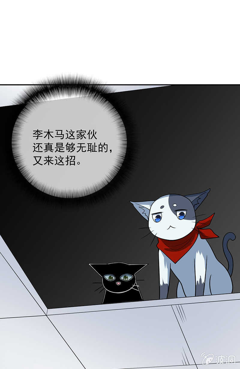 🍘我的充电女友 猫猫特工队 第37页