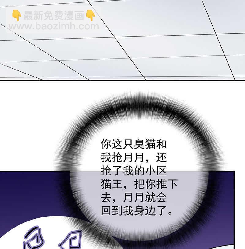 🍘我的充电女友 猫猫特工队 第38页