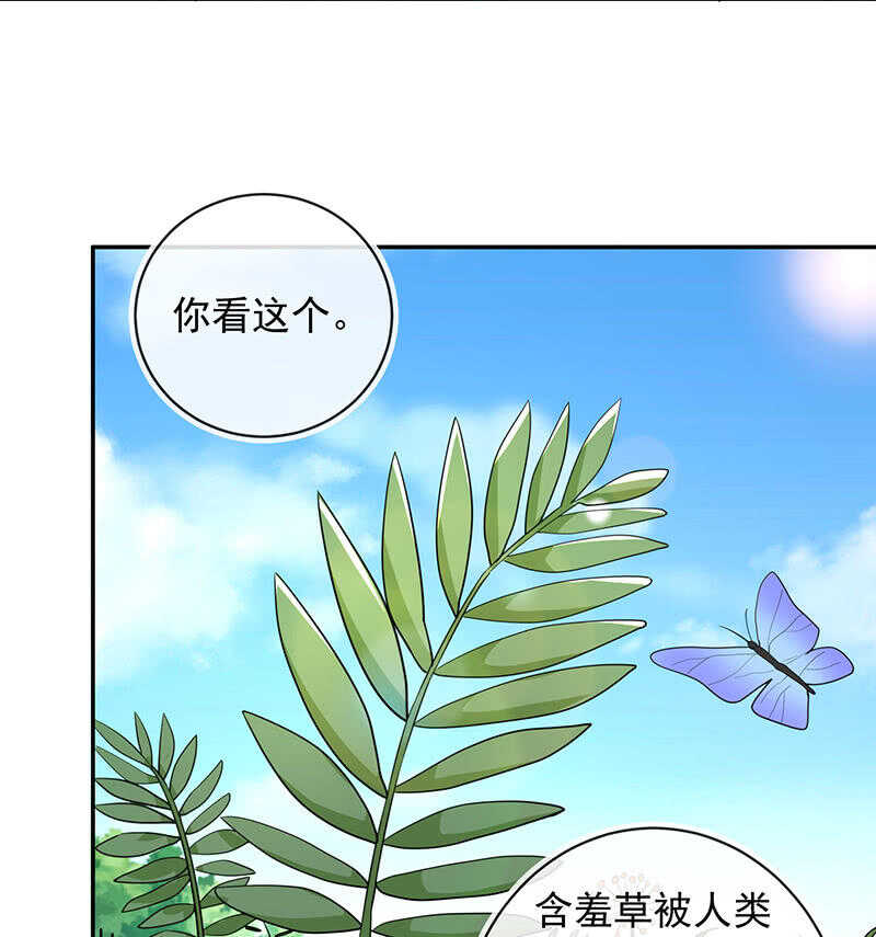 🍘我的充电女友 赋予弱者权力 第40页