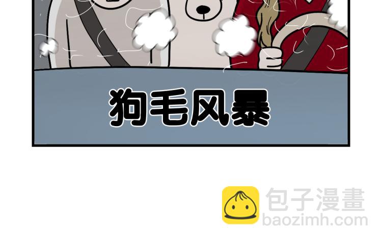 第1话 掉毛大王(1/2)-第2话
